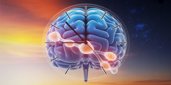 Trabalho Noturno e Demência: O Elo é o Ritmo Biológico